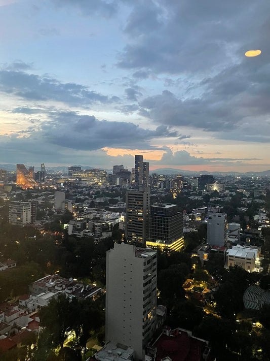 Mexico City Shopping Guide